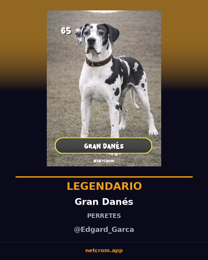 Gran Danés
