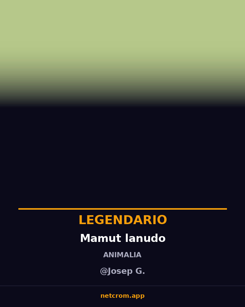 Mamut lanudo